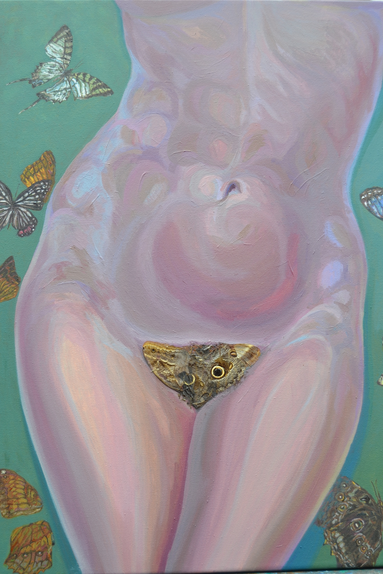 8.1.3 The butterflys. Oil 65x50cm